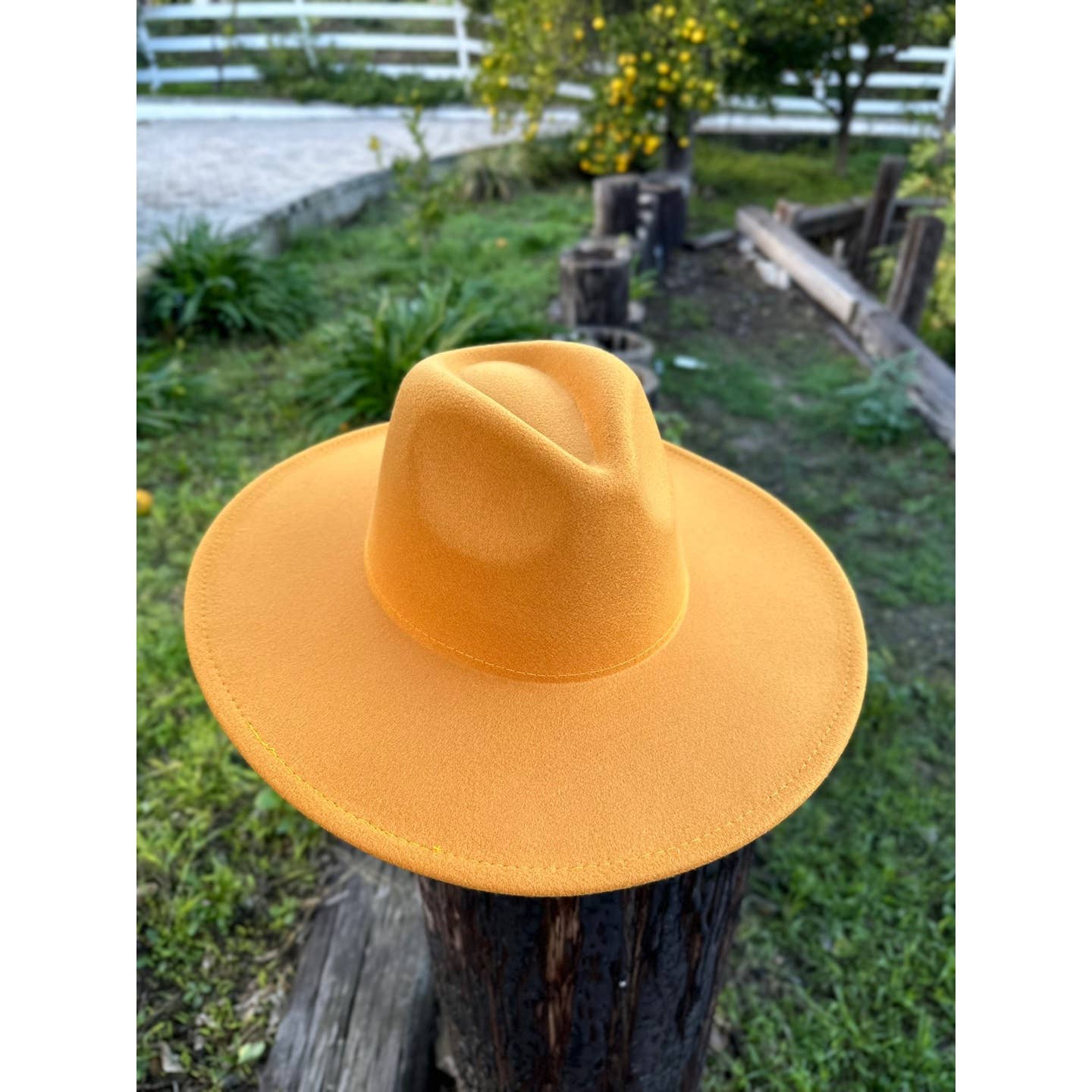 Classic Wide Brim Felt Hat