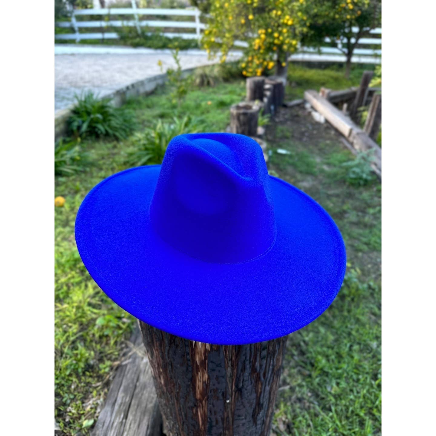 Classic Wide Brim Felt Hat