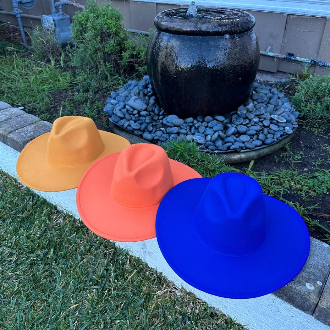 Classic Wide Brim Felt Hat