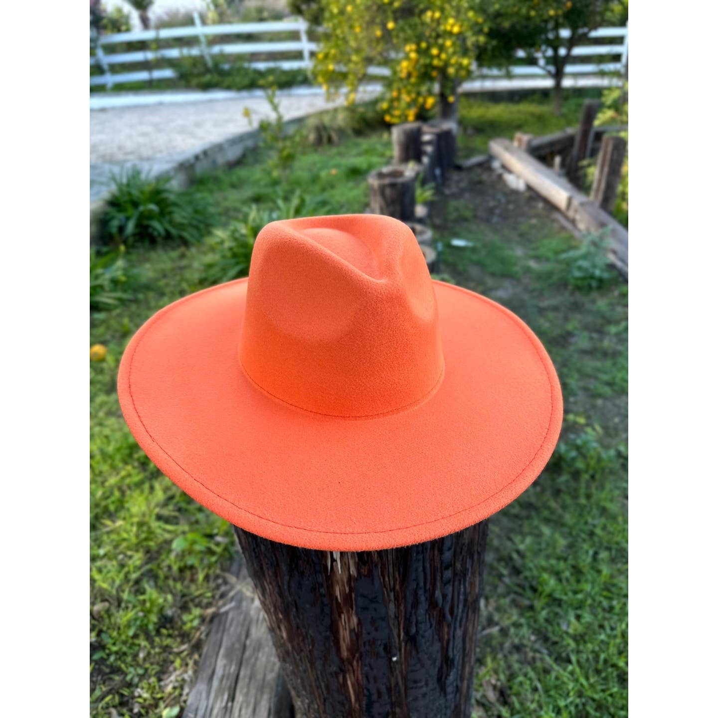 Classic Wide Brim Felt Hat